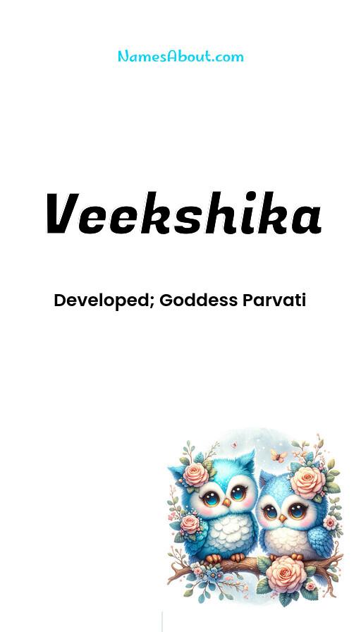 Meaning of Veekshika