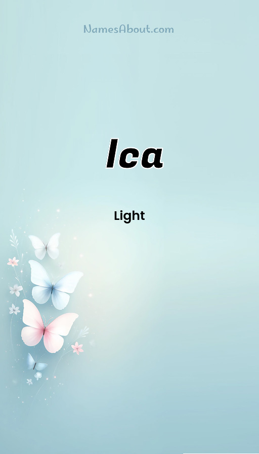 Meaning of Ica