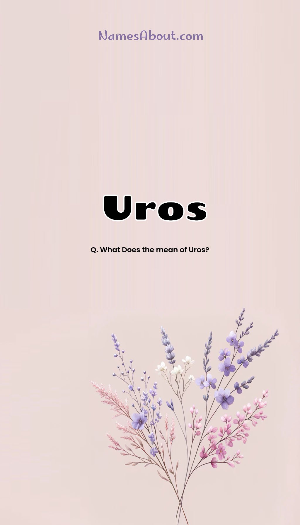 Uros name and meaning