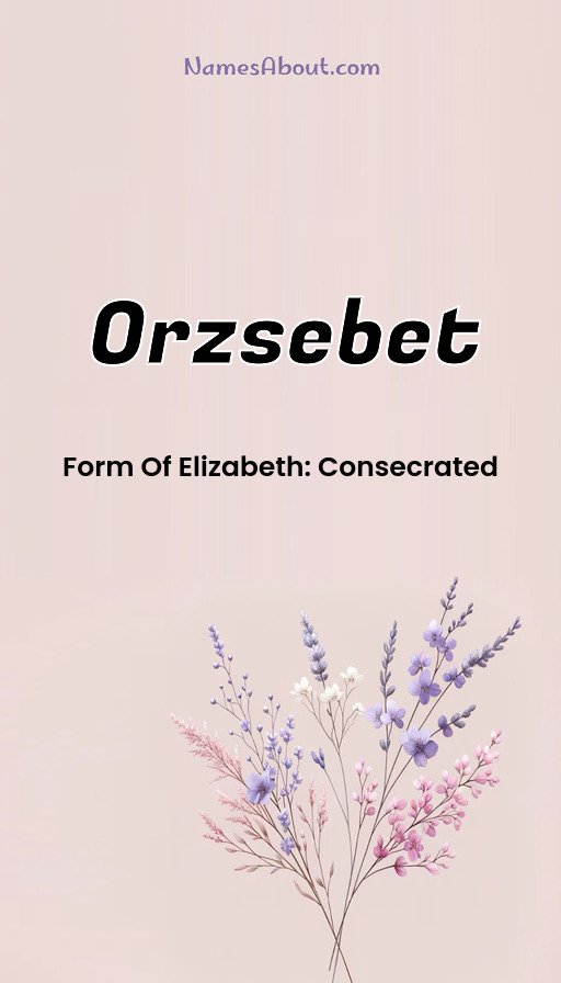 Meaning of Orzsebet