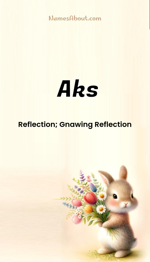 Meaning of Aks