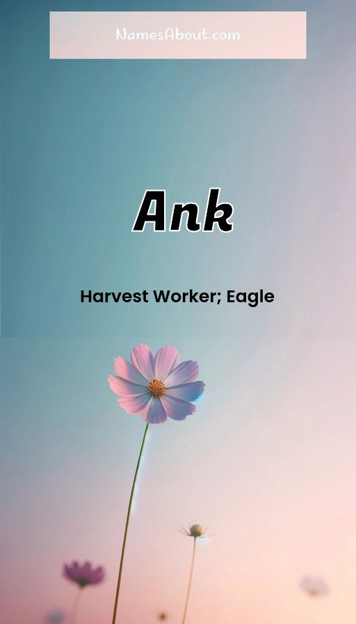 Meaning of Ank