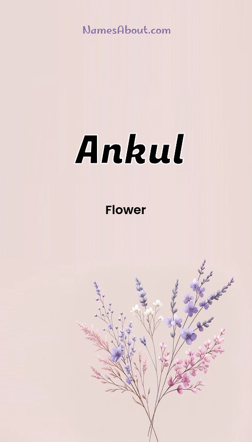 Meaning of Ankul