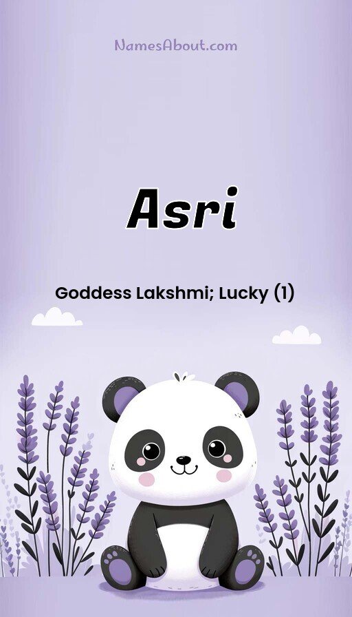 Meaning of Asri