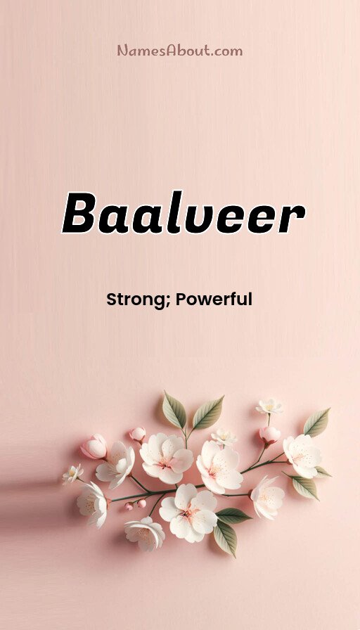 Meaning of Baalveer