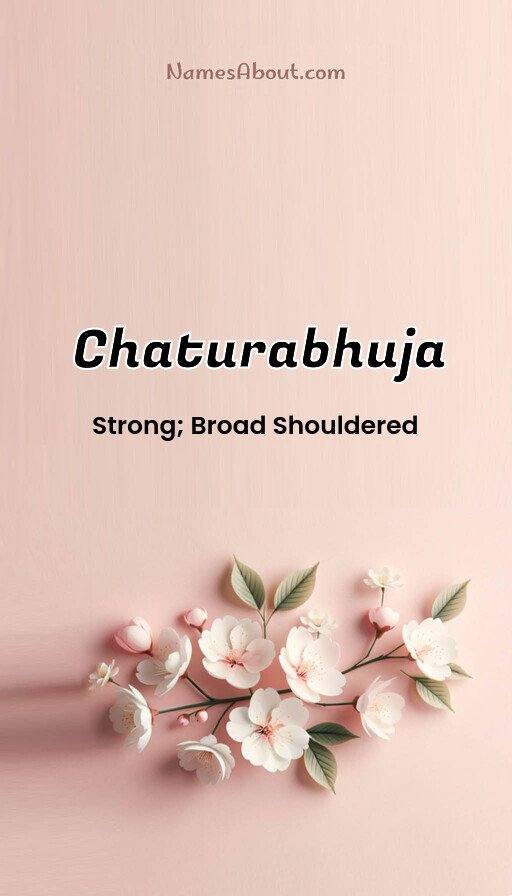 Meaning of Chaturabhuja