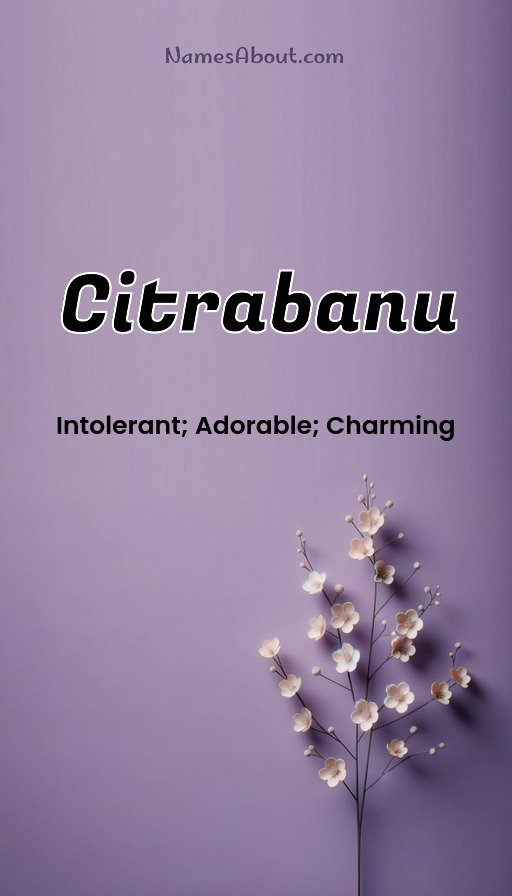 Meaning of Citrabanu