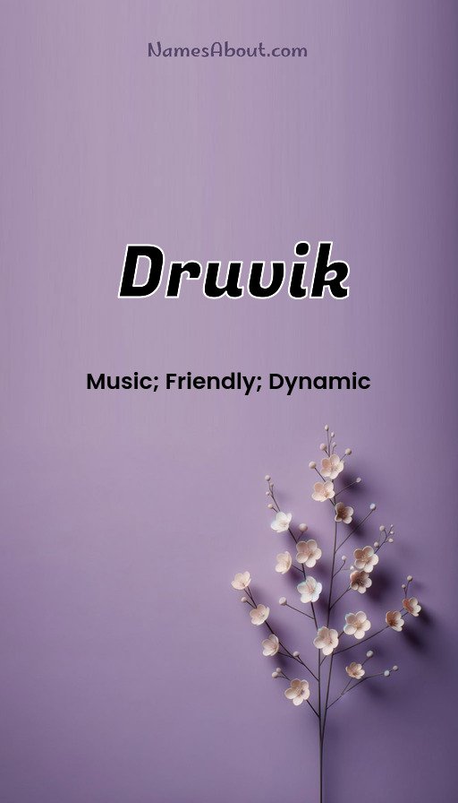 Meaning of Druvik