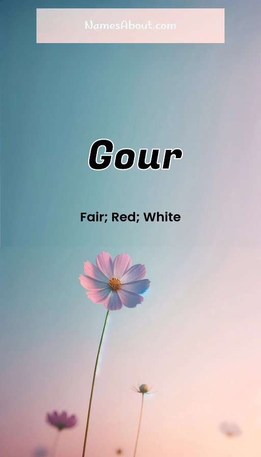 Meaning of Gour