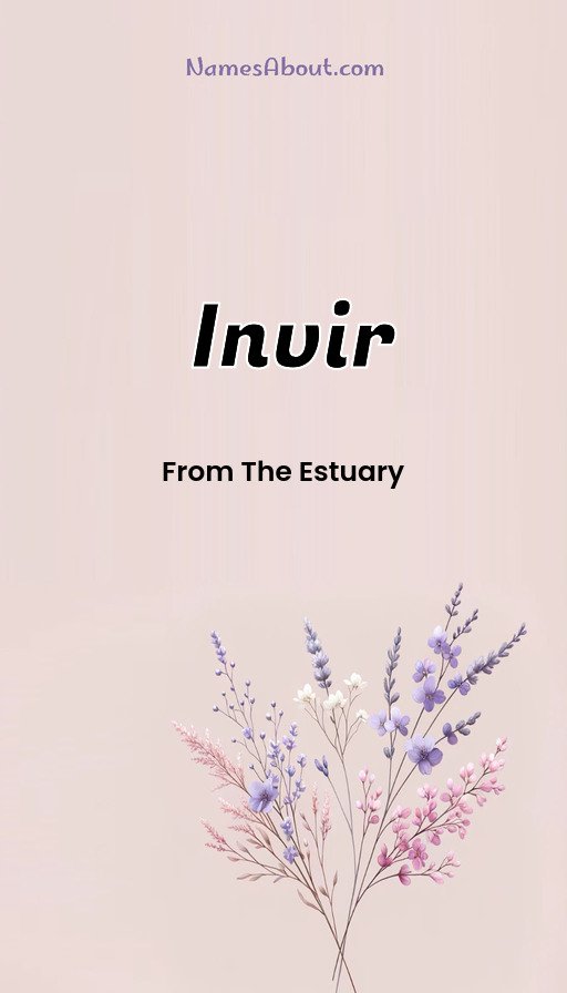 Meaning of Invir
