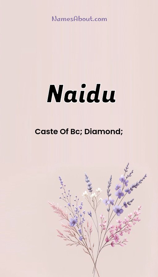Meaning of Naidu