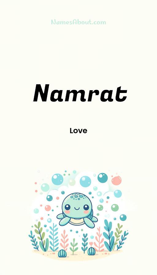 Meaning of Namrat