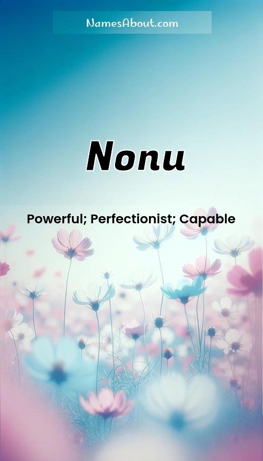 Meaning of Nonu