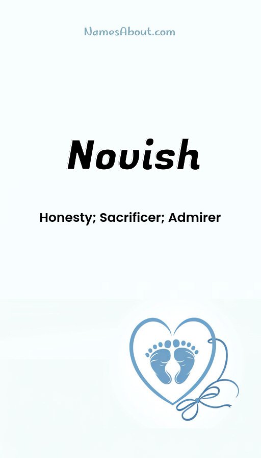 Meaning of Novish