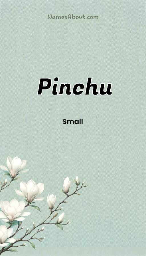 Meaning of Pinchu