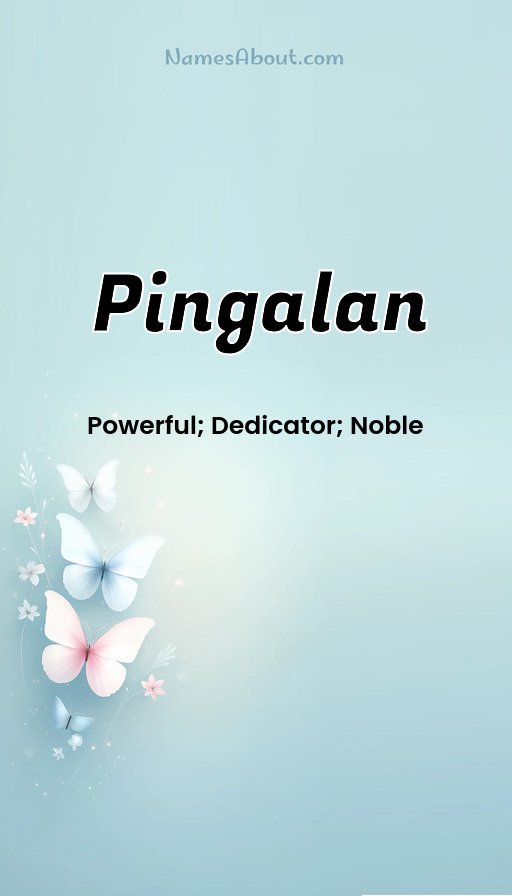 Meaning of Pingalan