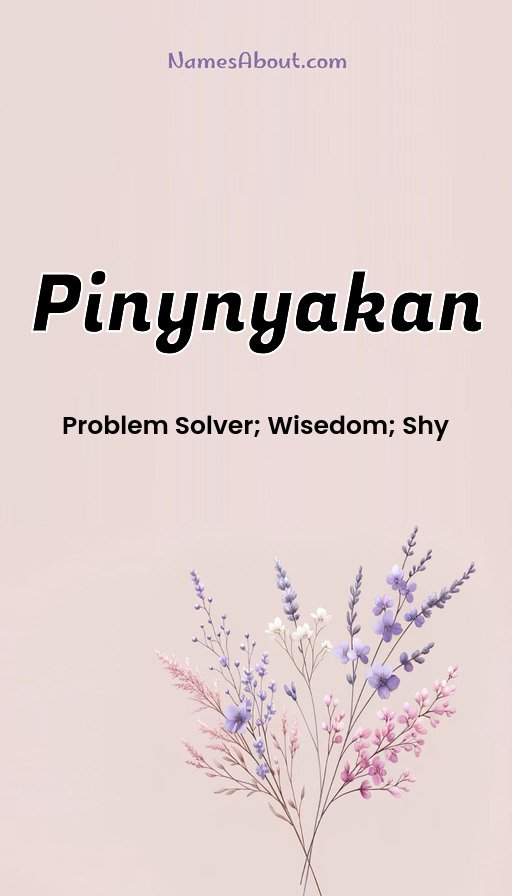 Meaning of Pinynyakan