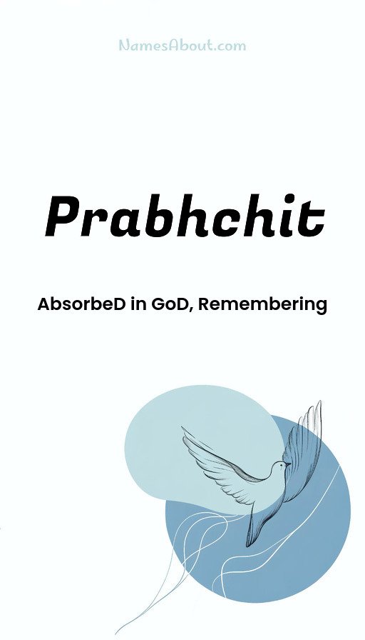 Meaning of Prabhchit