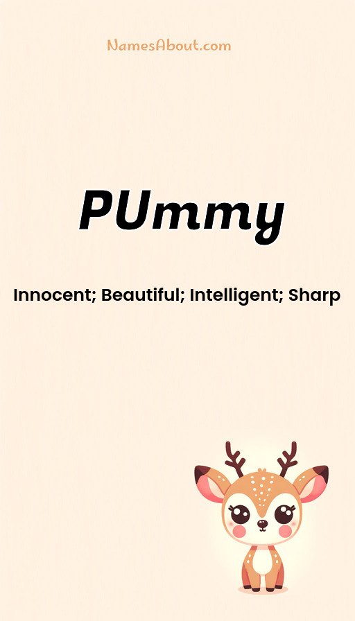 Meaning of Pummy