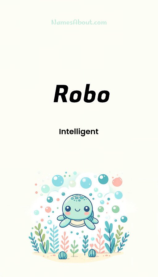 Meaning of Robo
