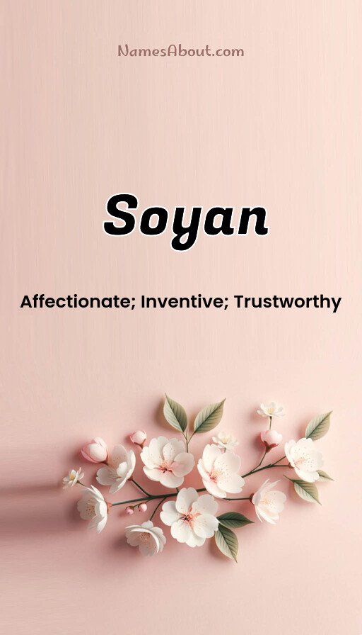 Meaning of Soyan