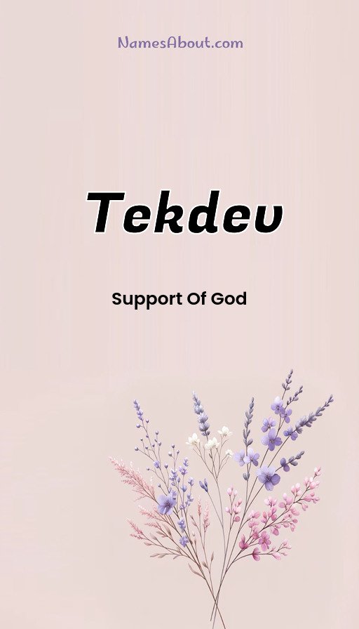 Meaning of Tekdev