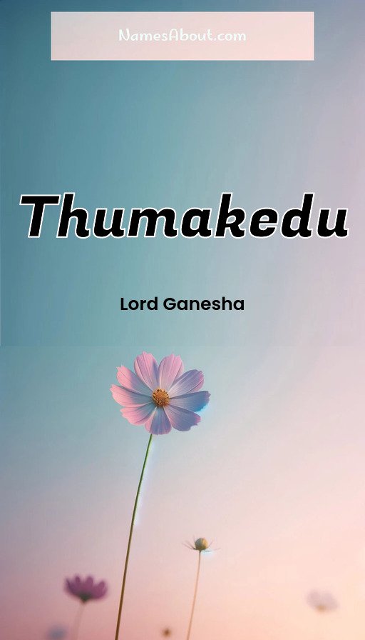 Meaning of Thumakedu