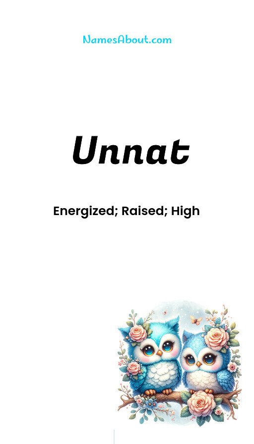 Meaning of Unnat