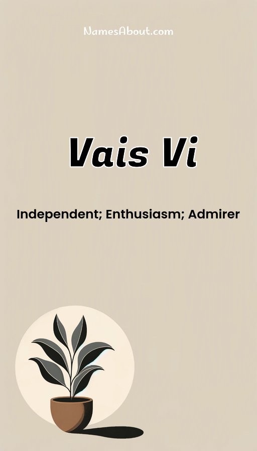 Meaning of Vais vi