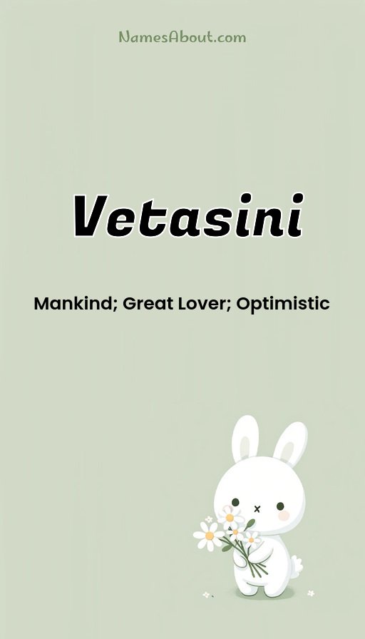 Meaning of Vetasini