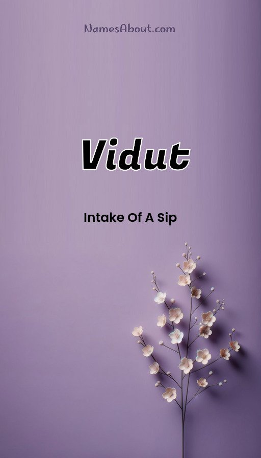 Meaning of Vidut