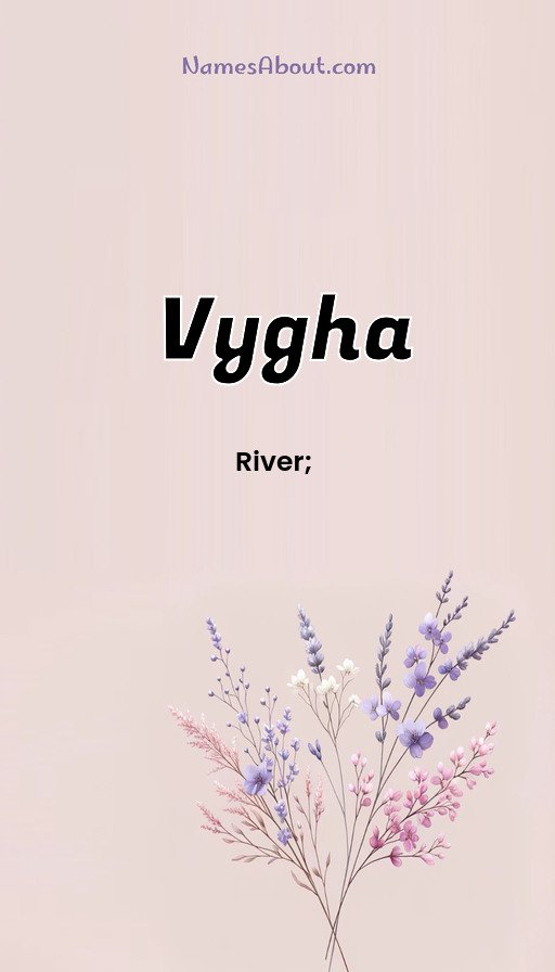 Meaning of Vygha