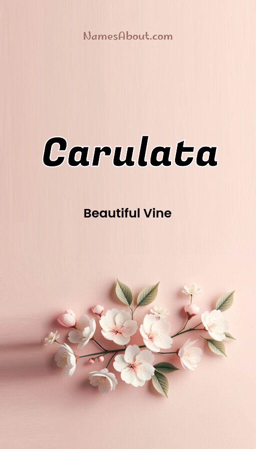 Meaning of Carulata