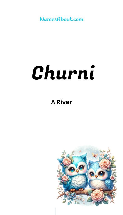 Meaning of Churni