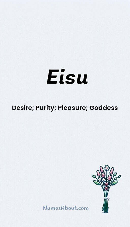 Meaning of Eisu