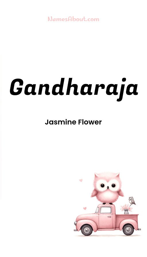 Meaning of Gandharaja