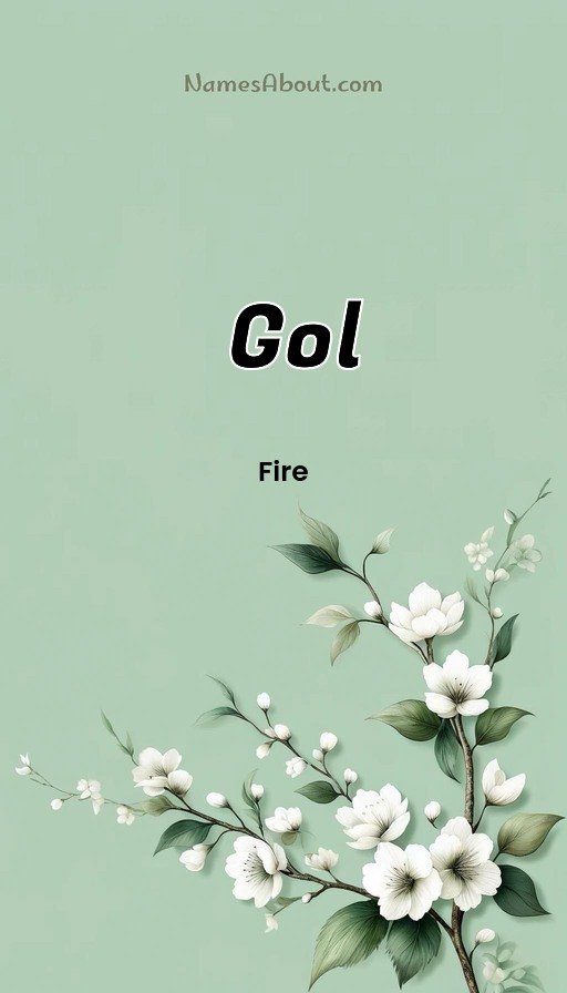 Meaning of Gol