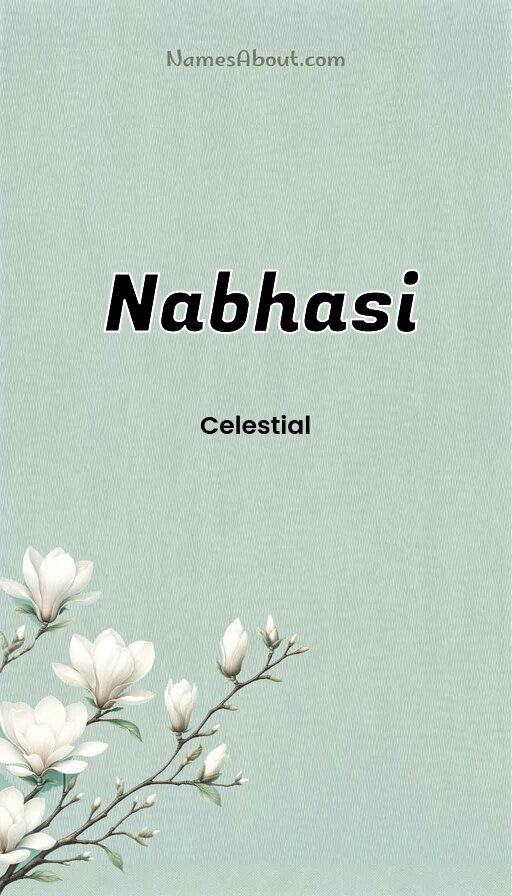 Meaning of Nabhasi