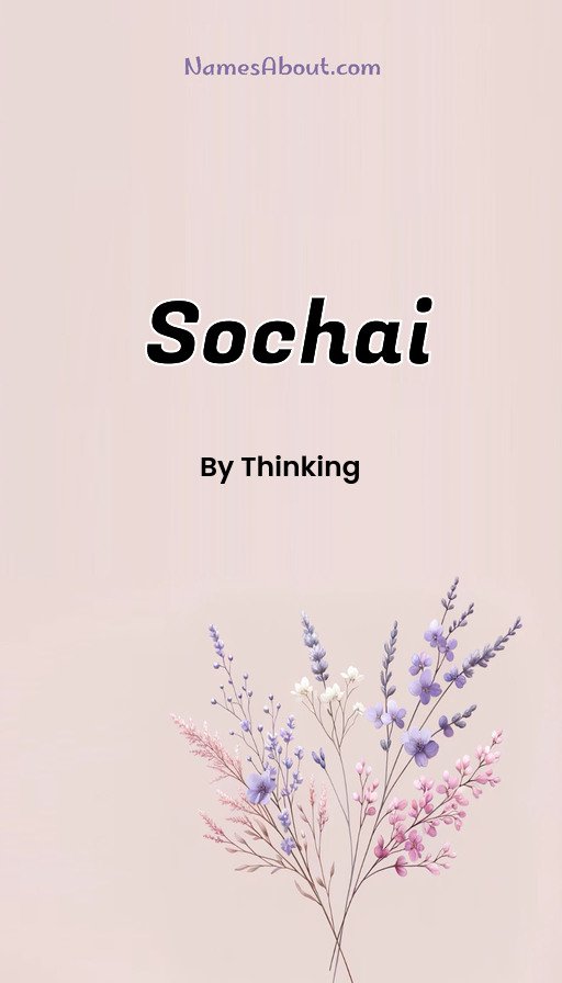 Meaning of Sochai