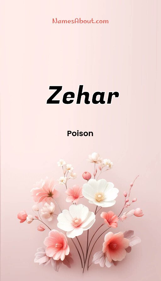 Meaning of Zehar