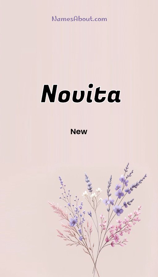 Meaning of Novita