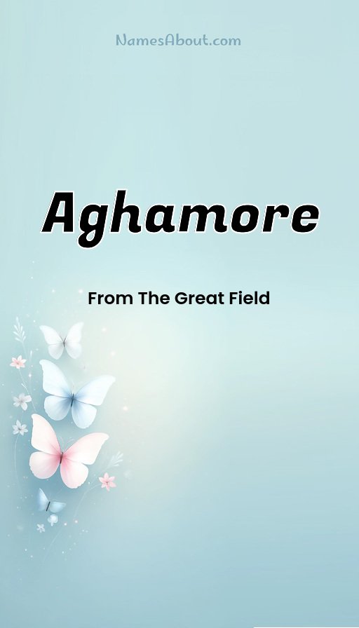 Meaning of Aghamore