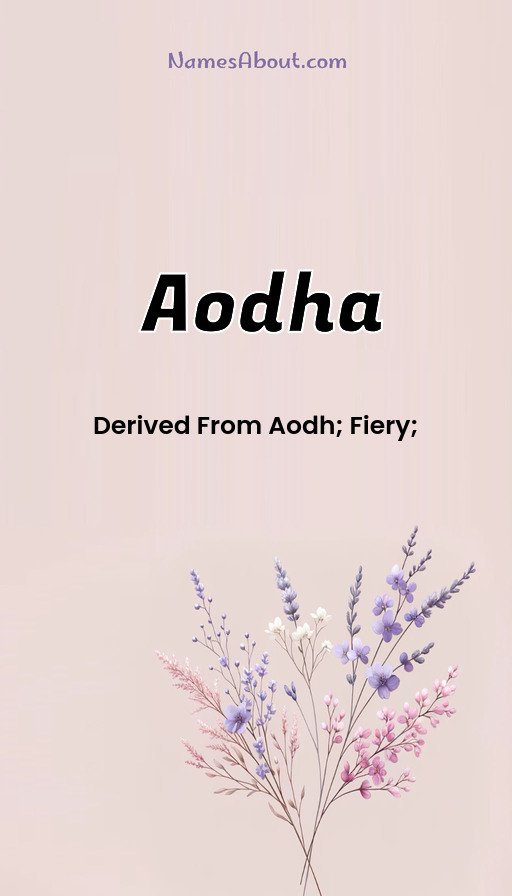 Meaning of Aodha