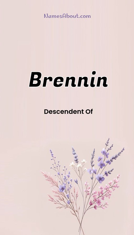 Meaning of Brennin