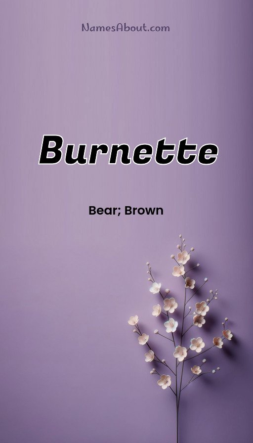 Meaning of Burnette