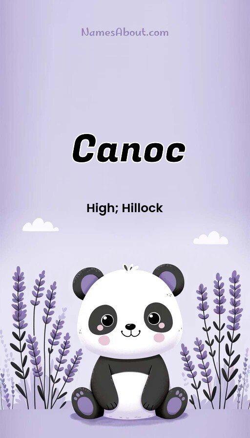 Meaning of Canoc