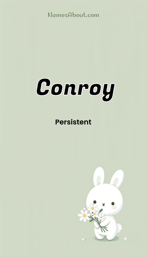 Meaning of Conroy