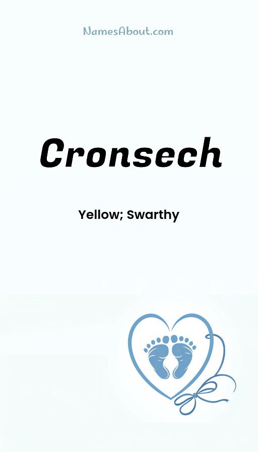 Meaning of Cronsech