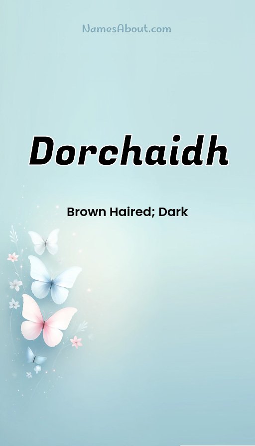 Meaning of Dorchaidh