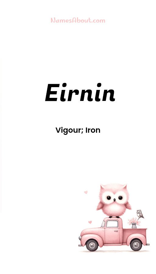 Meaning of Eirnin